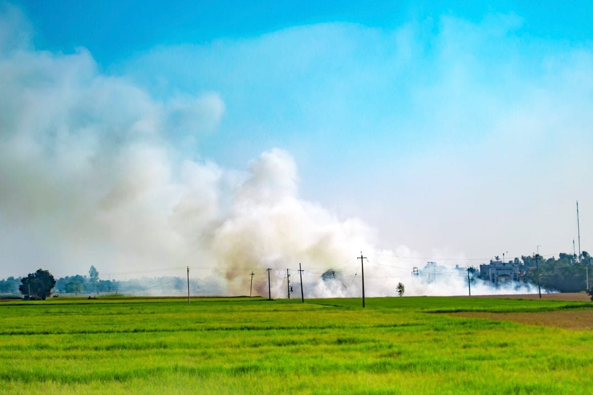An Unlikely Solution to India’s Crop Burning from the Labs of Switzerland - nextrends Asia