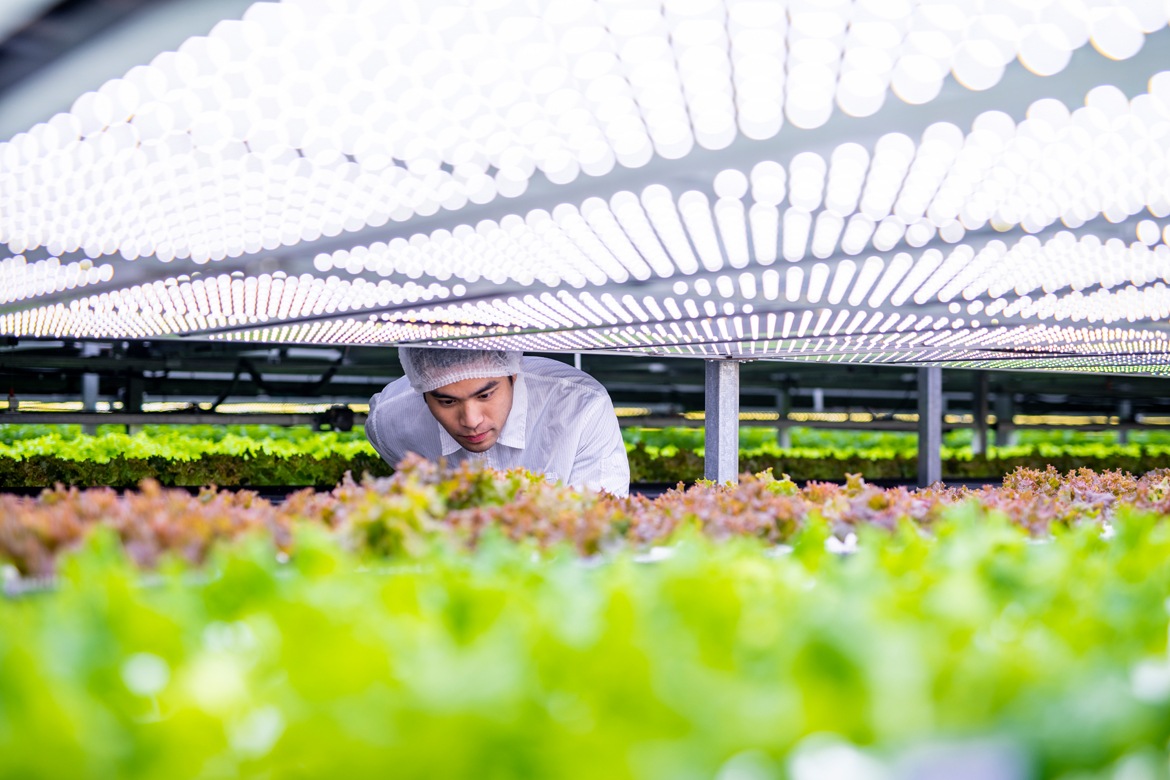 food-security-and-the-growth-of-urban-farming-in-singapore-swissnex