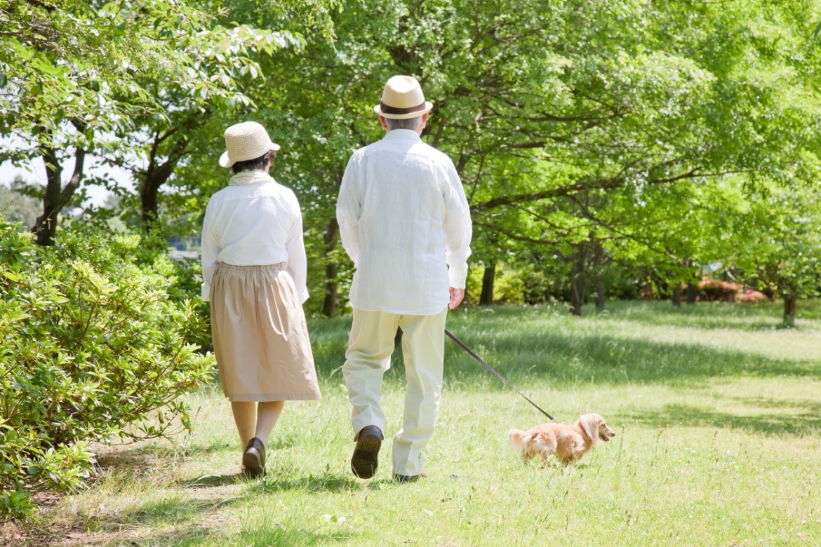 healthy-ageing-in-japan-s-super-aged-society-swissnex